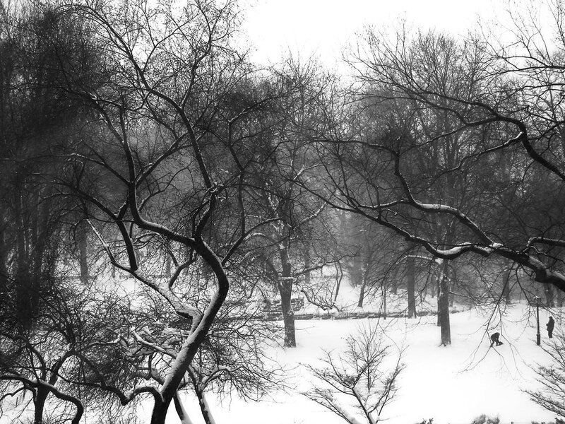 Snow-covered Park — Black