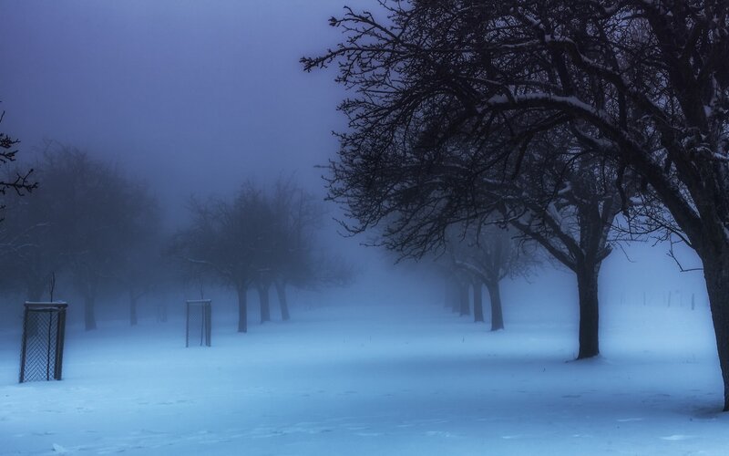 Snow-covered Park — Blue, Misty