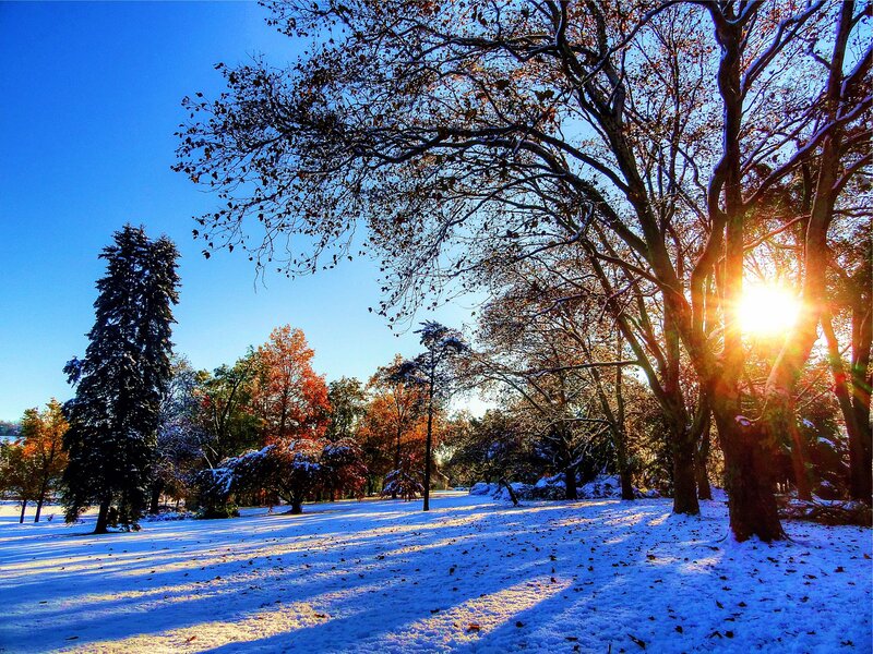 Snow-covered Park — Blue, Serene