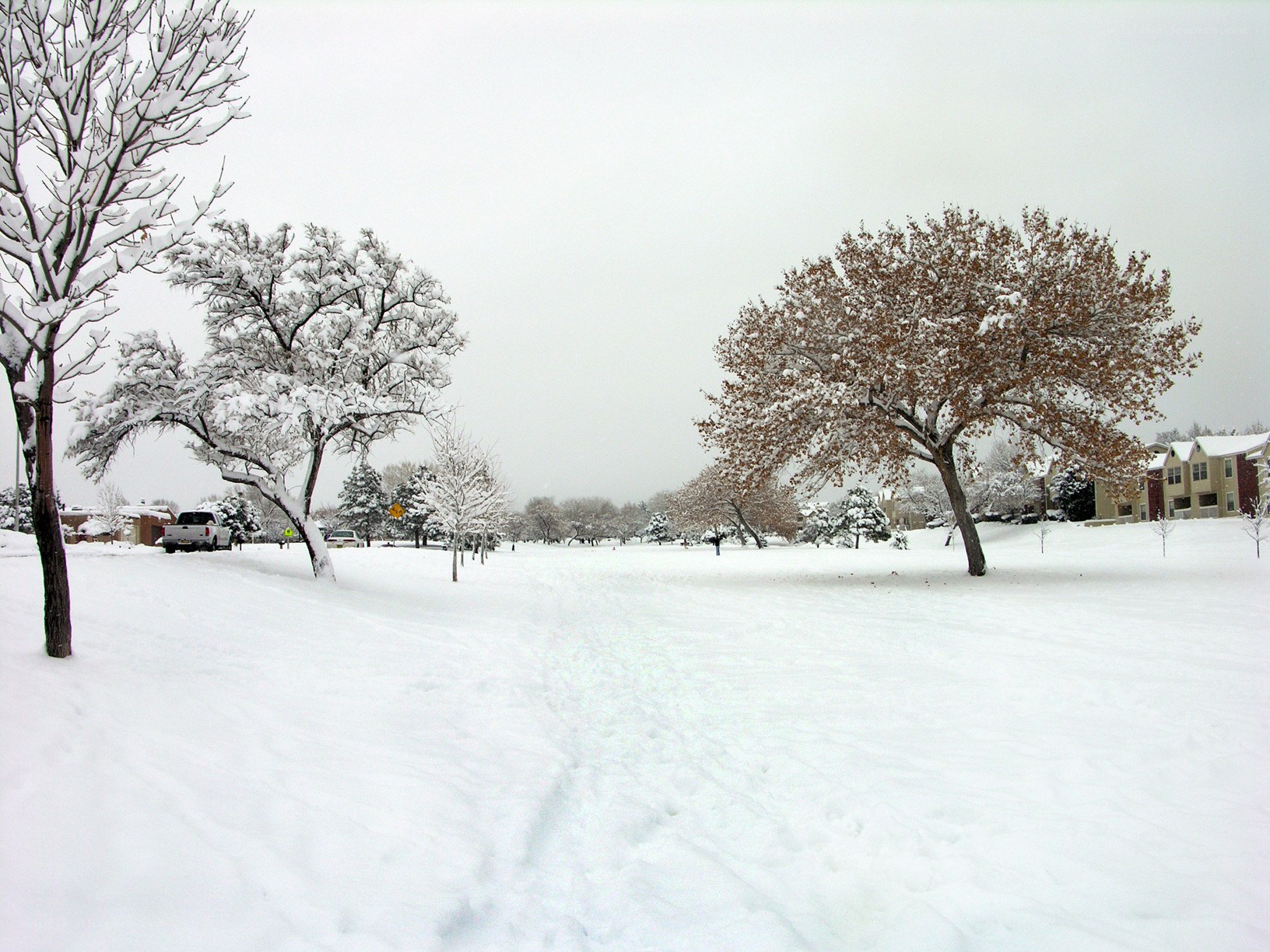 snow-covered park in winter
