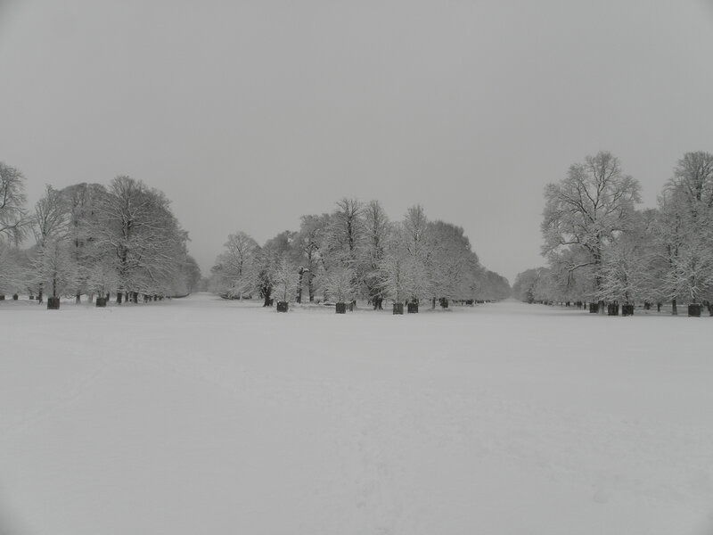 Snow-covered park landscape