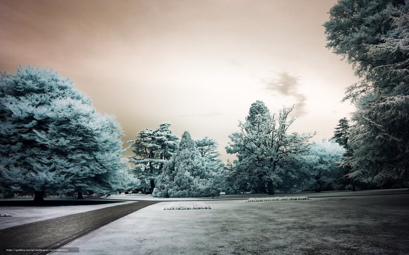 Snow-covered park landscape