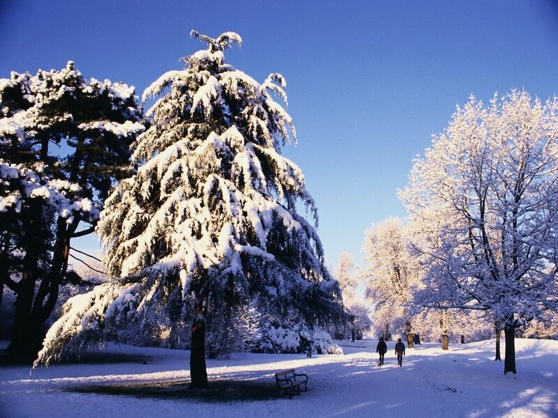 Snow-covered park on a sunny day