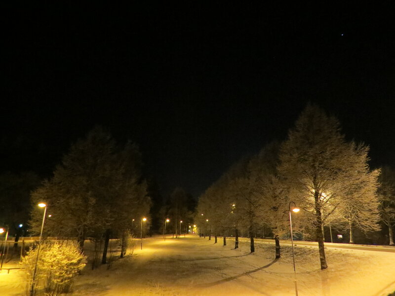 Snow-covered Park Path — Black, Serene, Night, Photograph