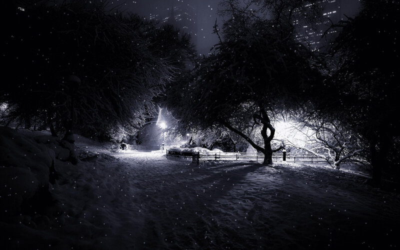Snow-covered Park Path — Black, Serene, Night, Photograph, Trees