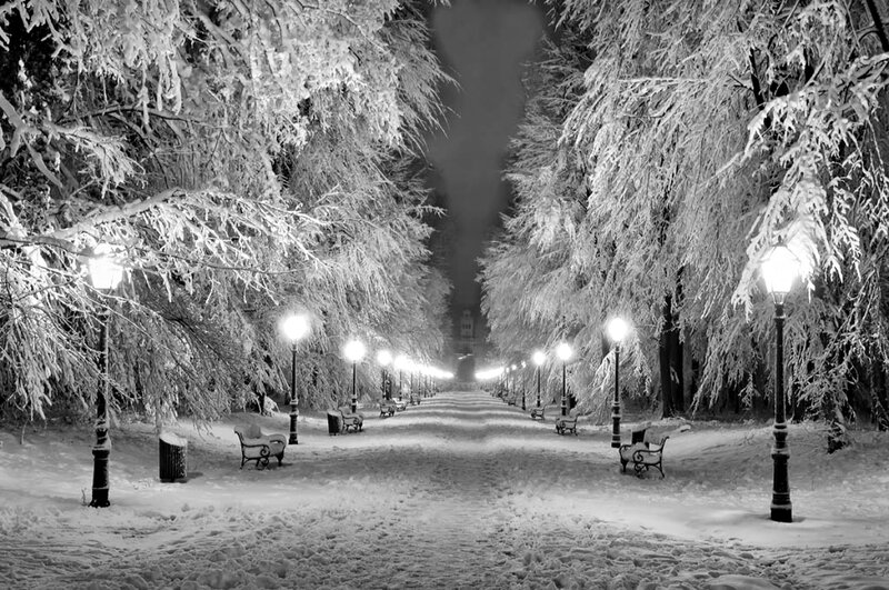 Snow-covered Park Path — Black, Serene, Night
