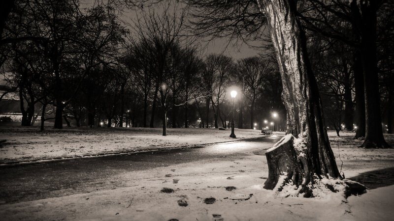 Snow-covered Park Path — Black, Serene