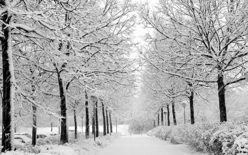 Snow-covered Park Path — Black, Serene, Winter, Photograph