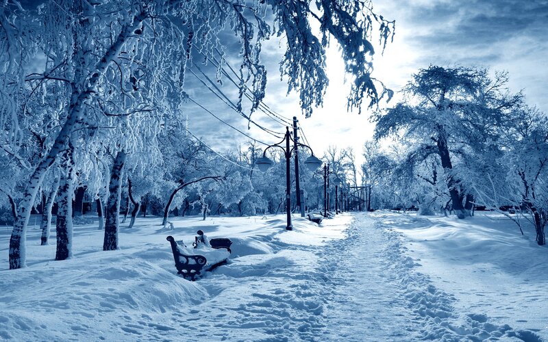 Snow-covered Park Path — Blue, Cold, Winter