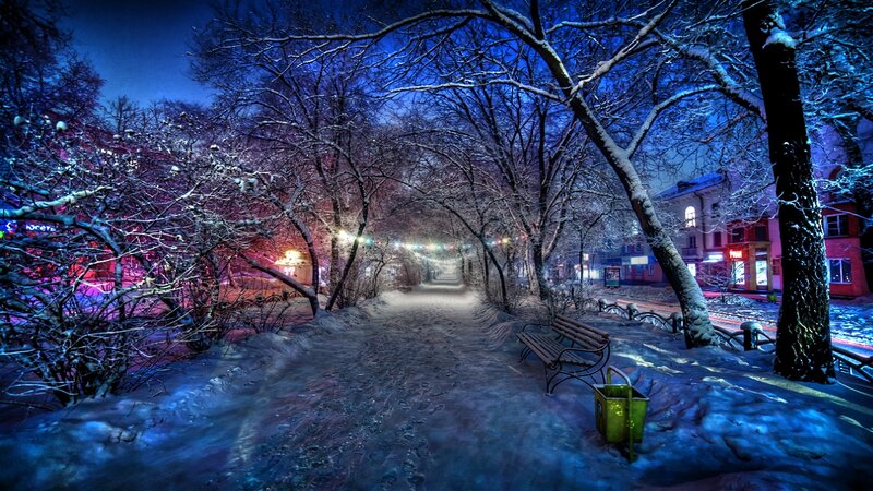 Snow-covered Park Path — Blue, Serene, Night, Photograph