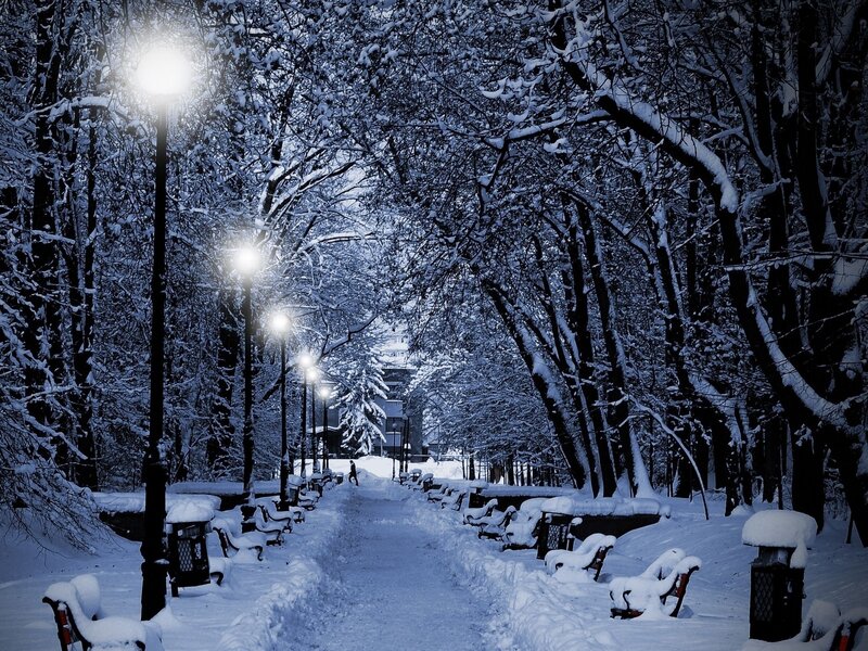 Snow-covered Park Path — Blue, Serene, Night, Photograph, Trees, Benches
