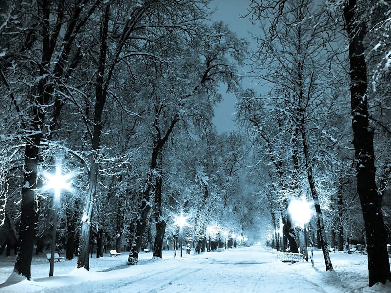 Snow-covered Park Path — Blue, Serene, Night, Photograph, Trees, Streetlights, Benches
