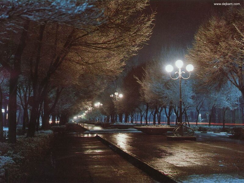 Snow-covered Park Path — Blue, Serene, Night, Photograph, Trees, Streetlights, Sidewalk