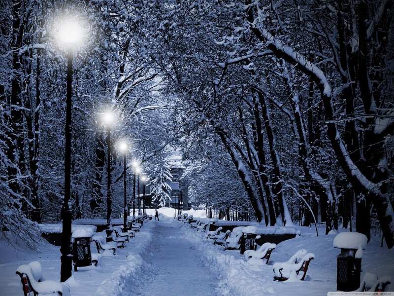 Snow-covered Park Path — Blue, Serene, Night, Photograph, Trees