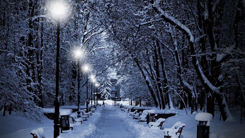 Snow-covered Park Path — Blue, Serene, Night