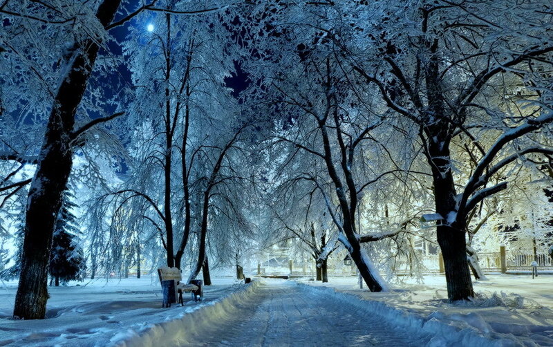 Snow-covered Park Path — Blue, Serene