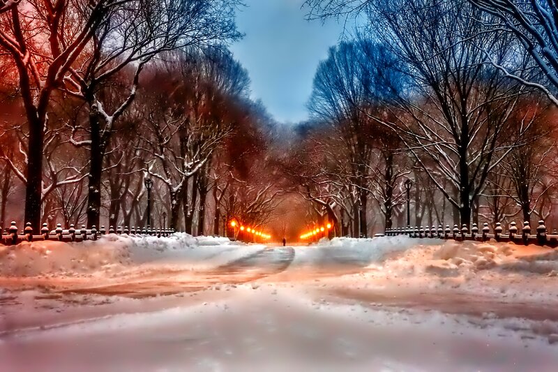 Snow-covered Park Path — Blue, Serene, Winter, Photograph