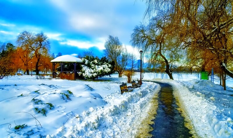 Snow-covered Park Path — Blue, Serene, Winter