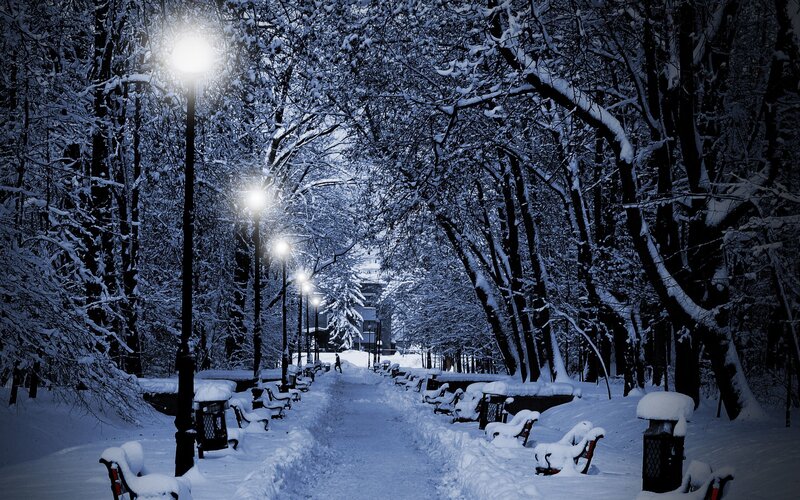 Snow-covered Park Path — Blue