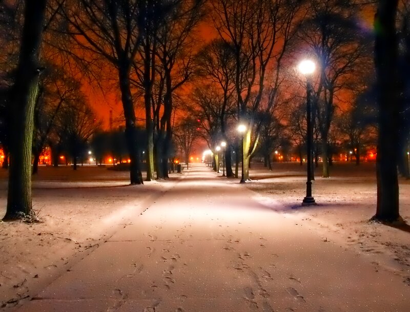 Snow-covered Park Path — Orange