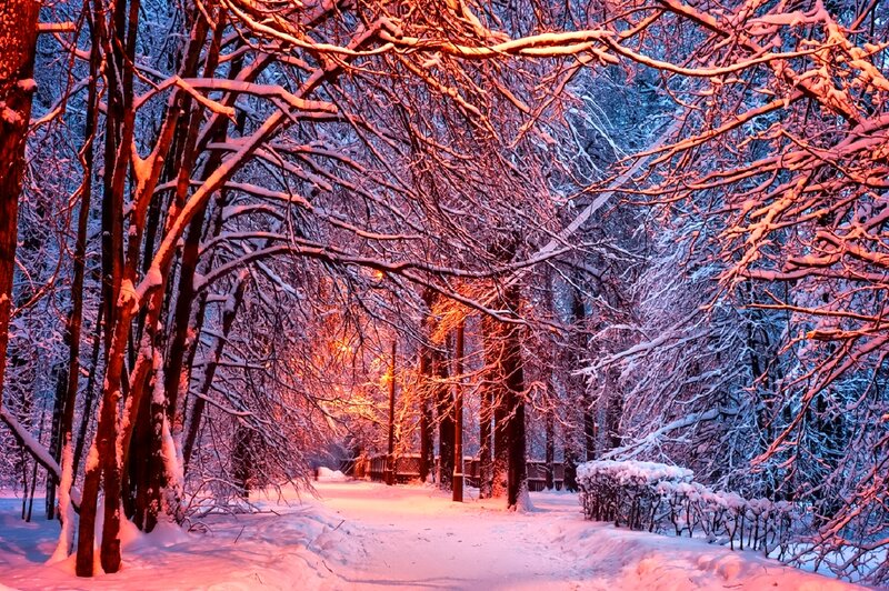 Snow-covered Park Path — Red