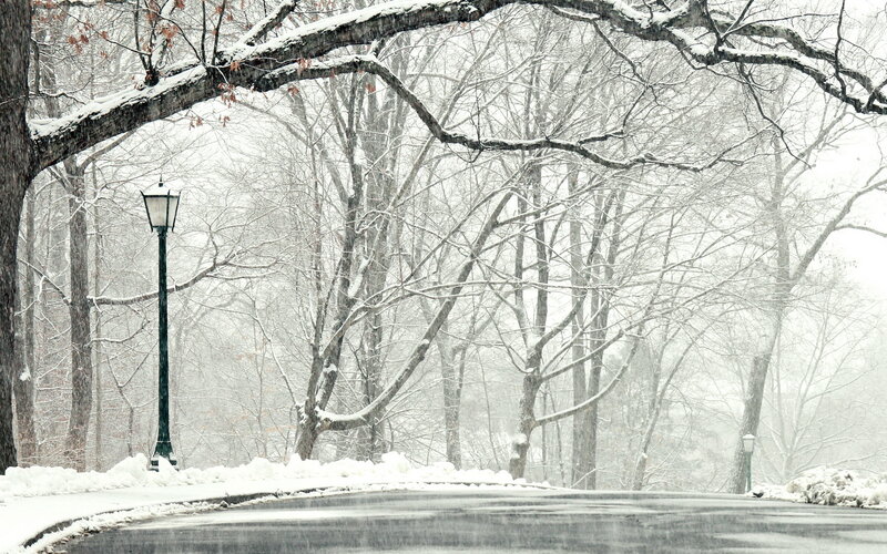 Snow-covered Park Path — White, Calm