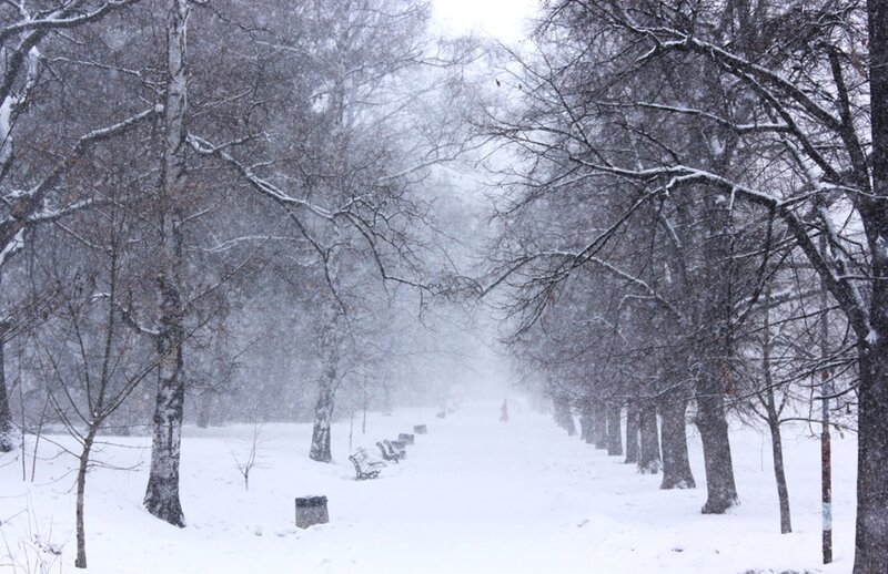 Snow-covered Park Path — White, Cold