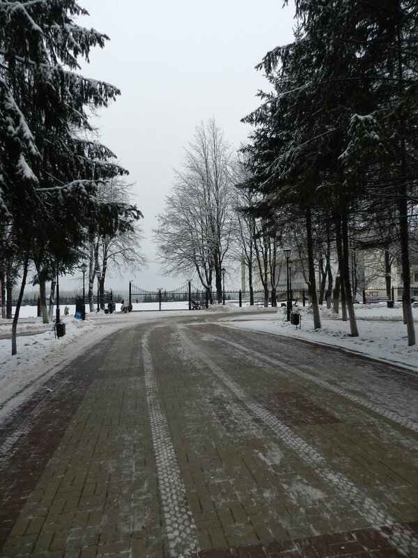 Snow-covered Park Path — White, Cold, Winter