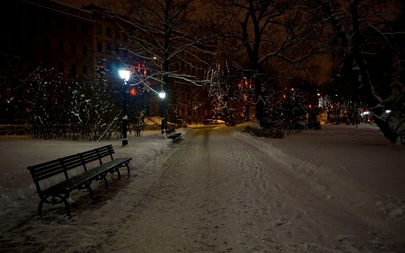 Snow-covered Park Path — White, Quiet, Night, Photograph