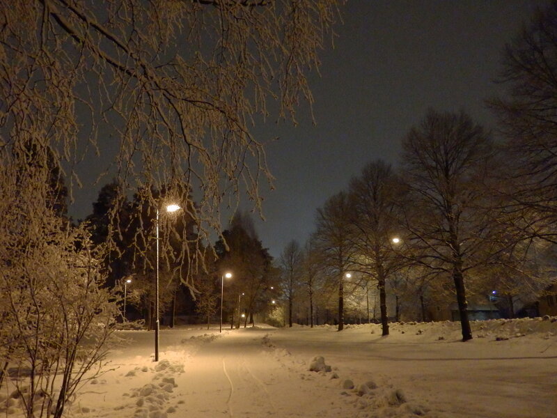 Snow-covered Park Path — White, Quiet, Night, Photograph, Trees