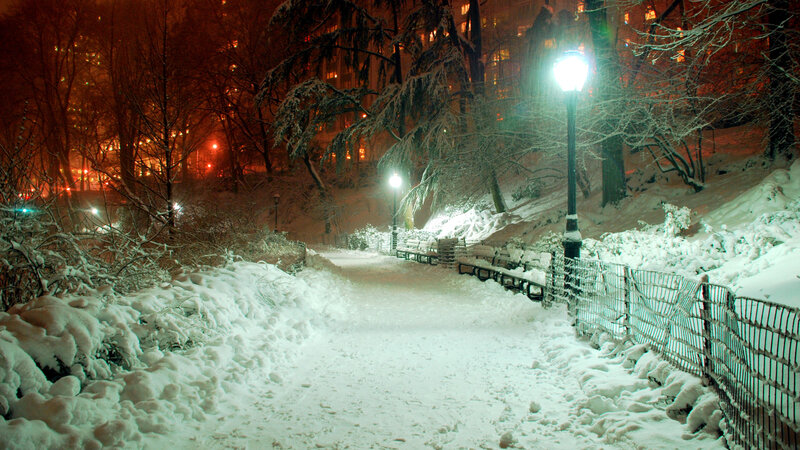 Snow-covered Park Path — White, Quiet, Night