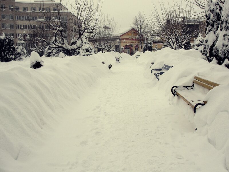 Snow-covered Park Path — White, Quiet