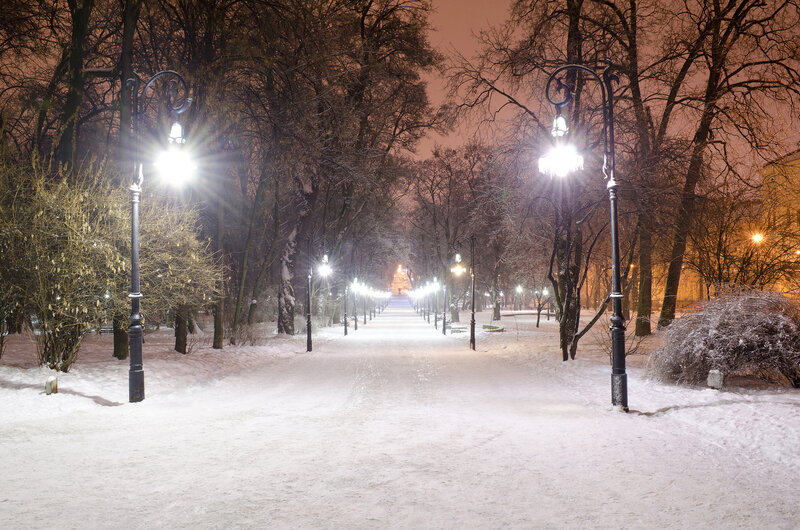 Snow-covered Park Path — White, Serene, Night, Photograph, Street Lamps