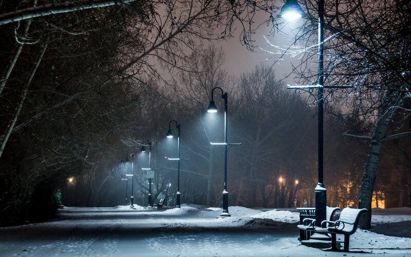 Snow-covered Park Path — White, Serene, Night, Photograph, Streetlights, Benches, Trees, Black