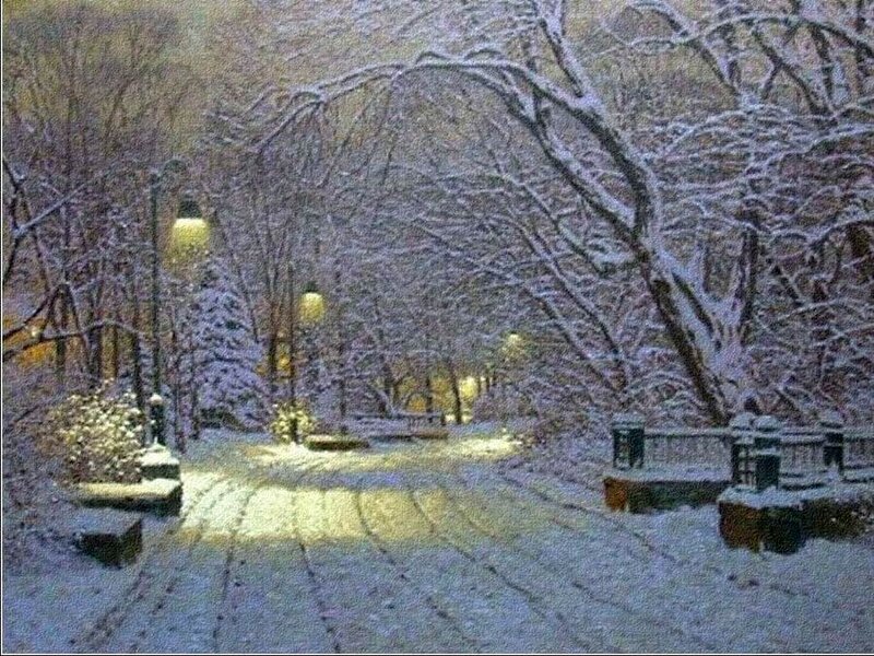 Snow-covered Park Path — White, Serene, Night, Photograph