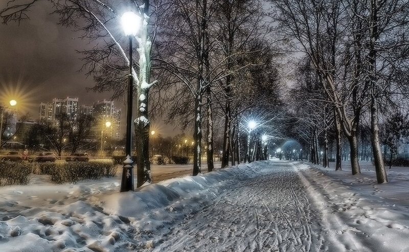 Snow-covered Park Path — White, Serene, Night, Photograph, Trees, Streetlights, Buildings