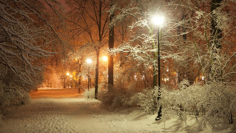 Snow-covered Park Path — White, Serene, Night, Photograph, Trees, Streetlights, Snow