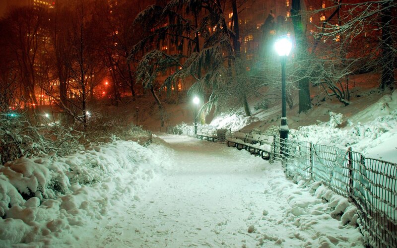 Snow-covered Park Path — White, Serene, Night, Photograph, Trees