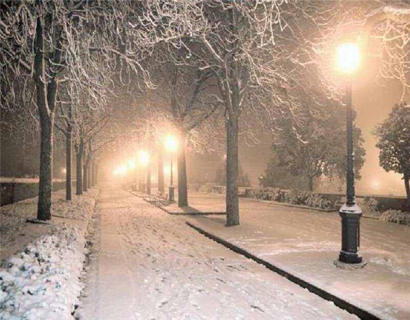 Snow-covered Park Path — White, Serene, Night