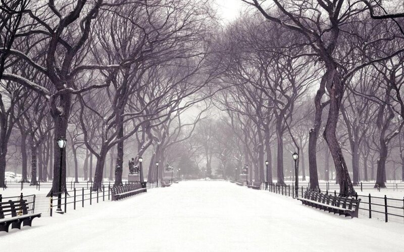 Snow-covered Park Path — White, Serene