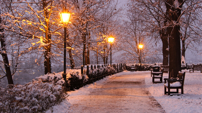 Snow-covered Park Path — White, Serene, Winter, Photograph, Street Lamps