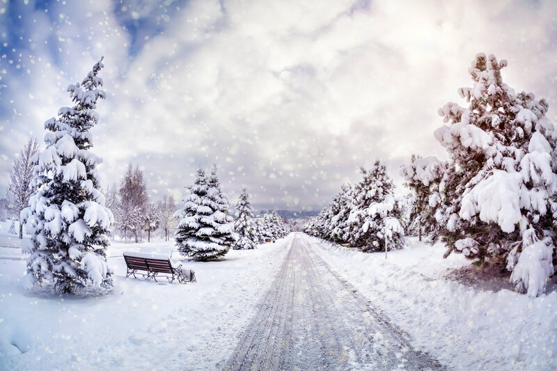 Snow-covered Park Path — White, Serene, Winter, Photograph, Trees, Bench, Snow