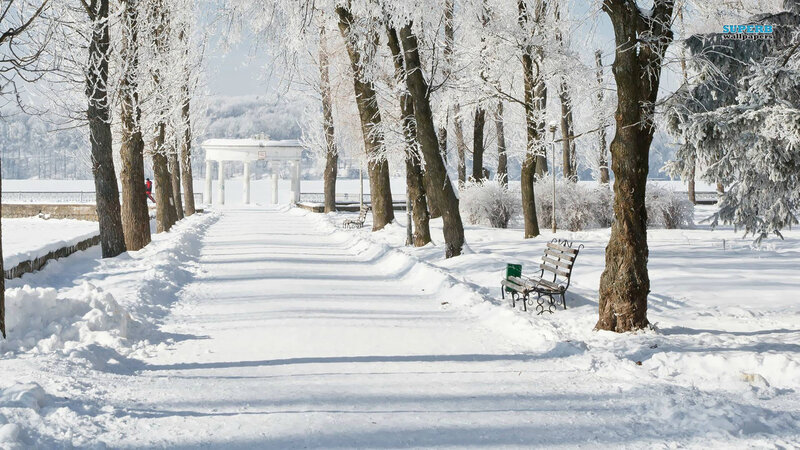 Snow-covered Park Path — White, Serene, Winter, Photograph, Trees, Bench