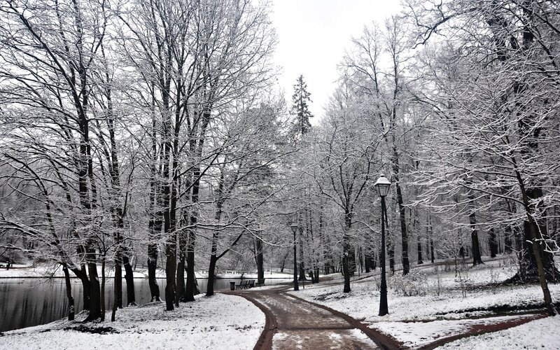 Snow-covered Park Path — White, Serene, Winter, Photograph, Trees, Lake