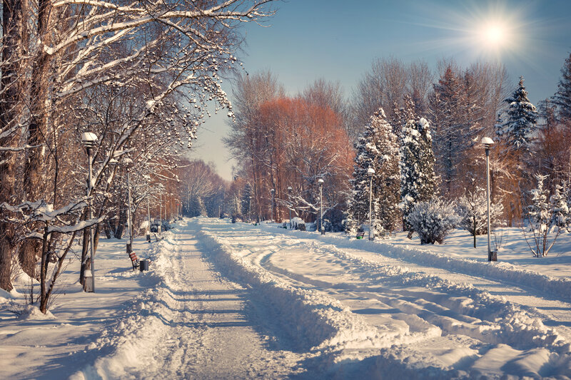 Snow-covered Park Path — White, Serene, Winter, Photograph, Trees, Streetlights, Sun