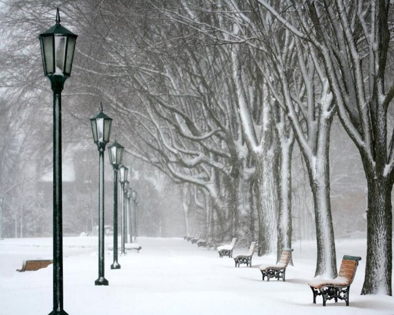 Snow-covered Park Path — White