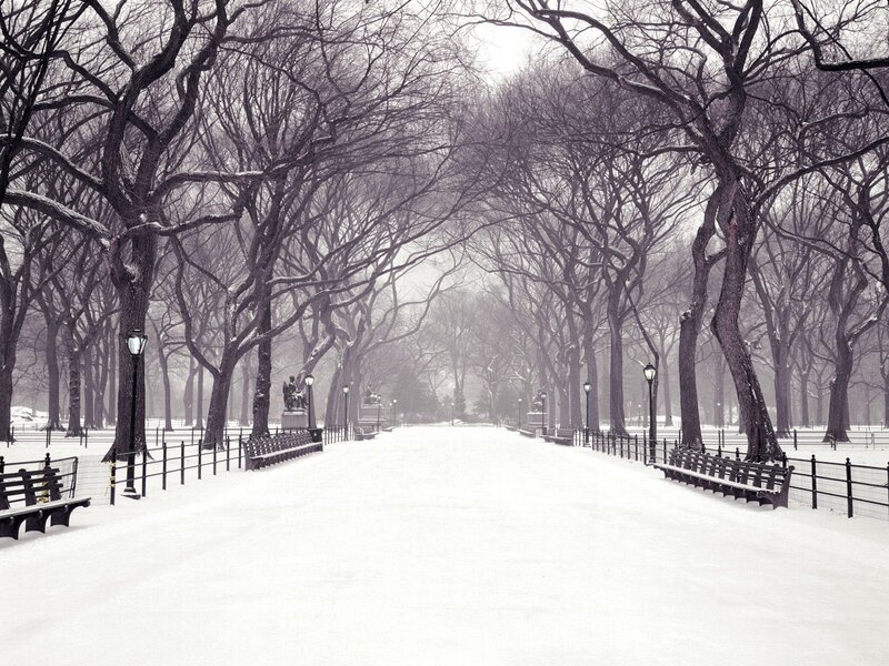 Snow-covered Park Path — Winter