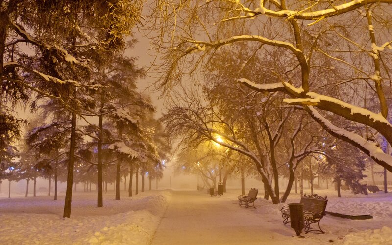 Snow-covered Park Path — Yellow, Serene, Night