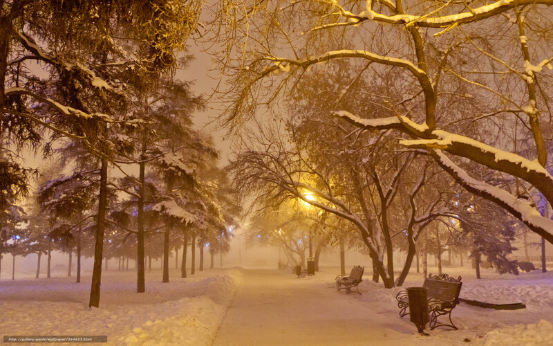 Snow-covered Park Path — Yellow, Serene