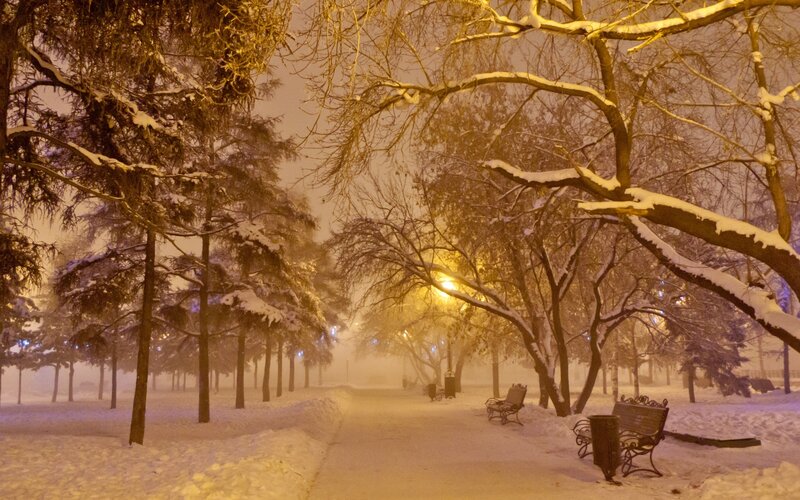 Snow-covered Park Path — Yellow